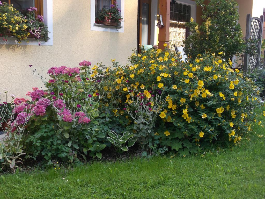 Haus Margit Apartman Schlierbach Kültér fotó